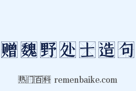 赠魏野处士造句是什么意思的图片